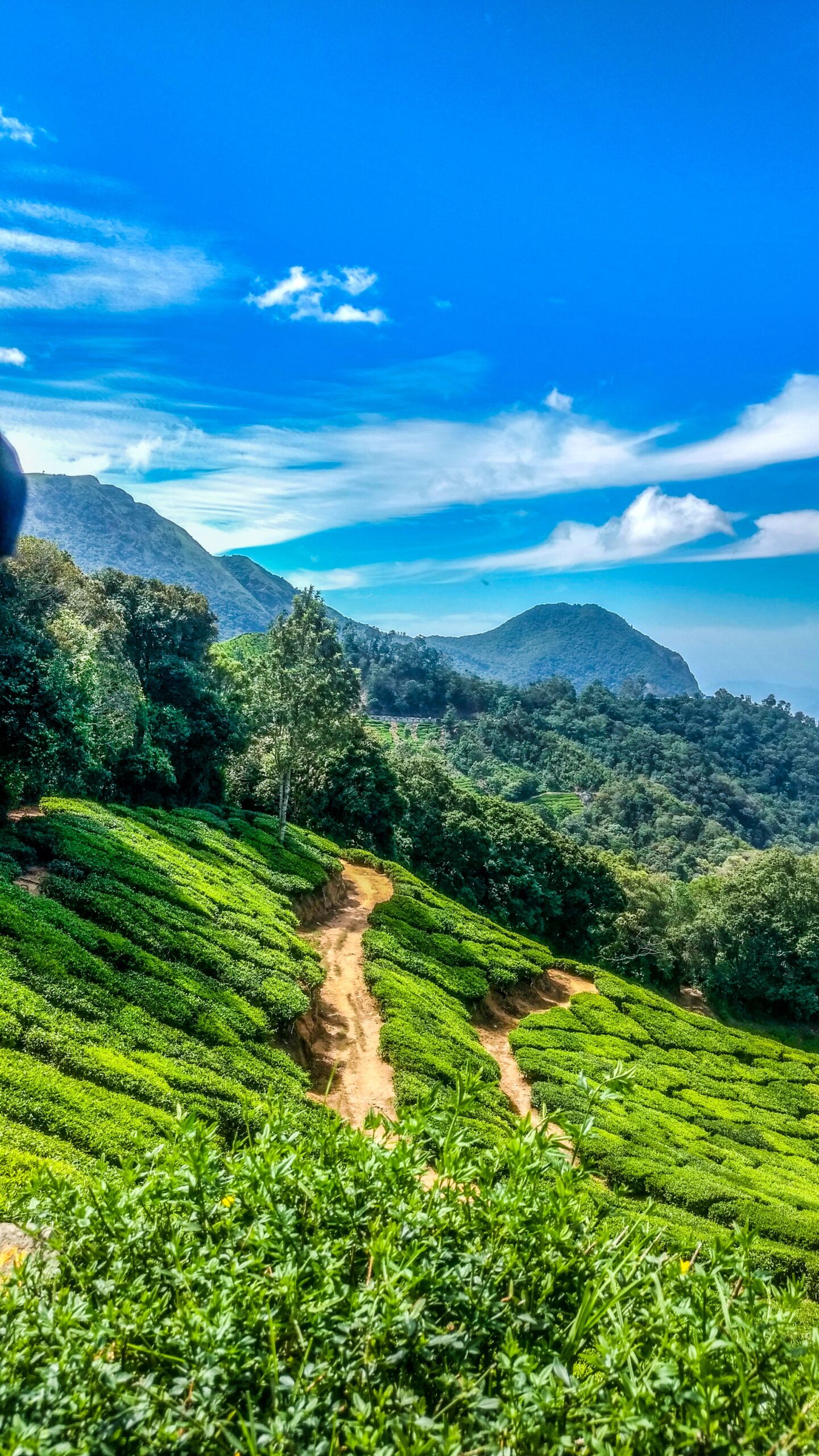 Munnar