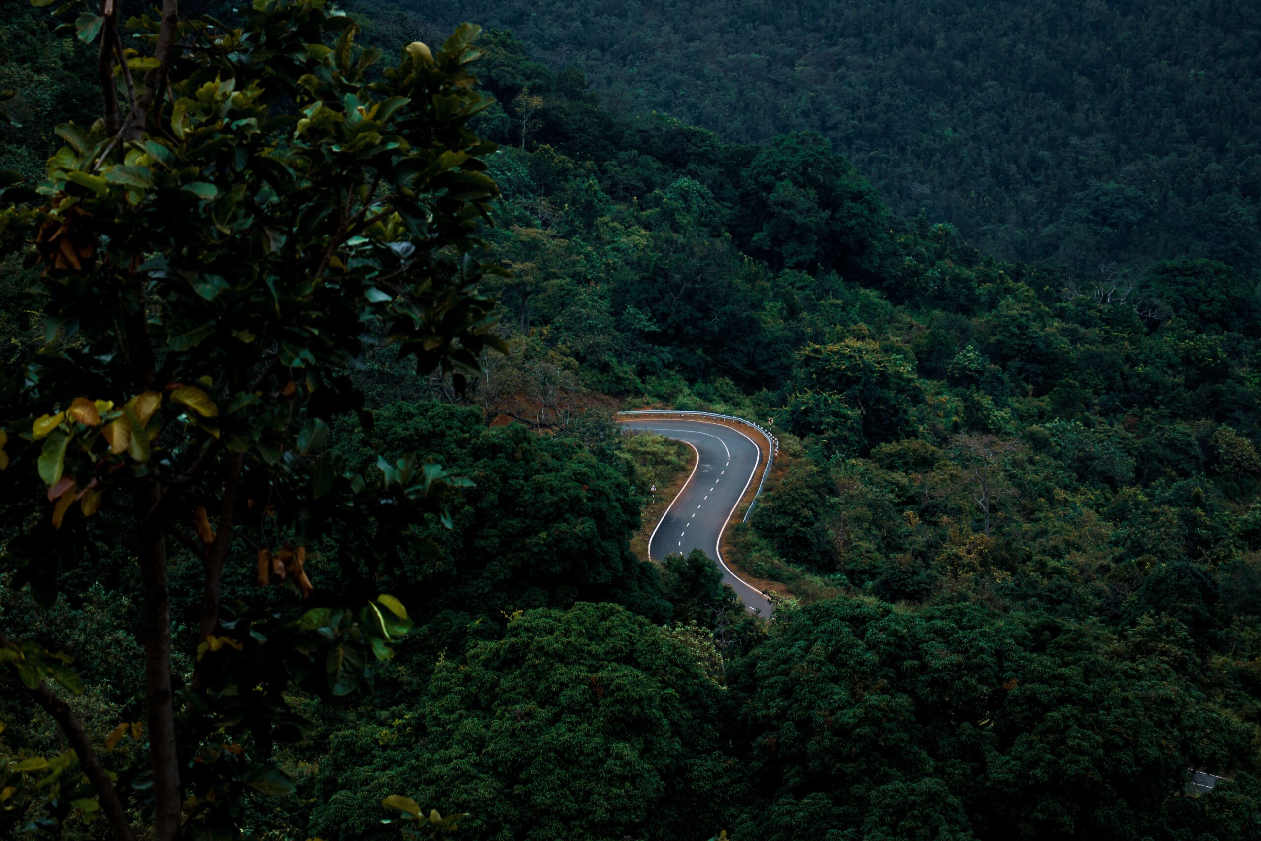 Coorg